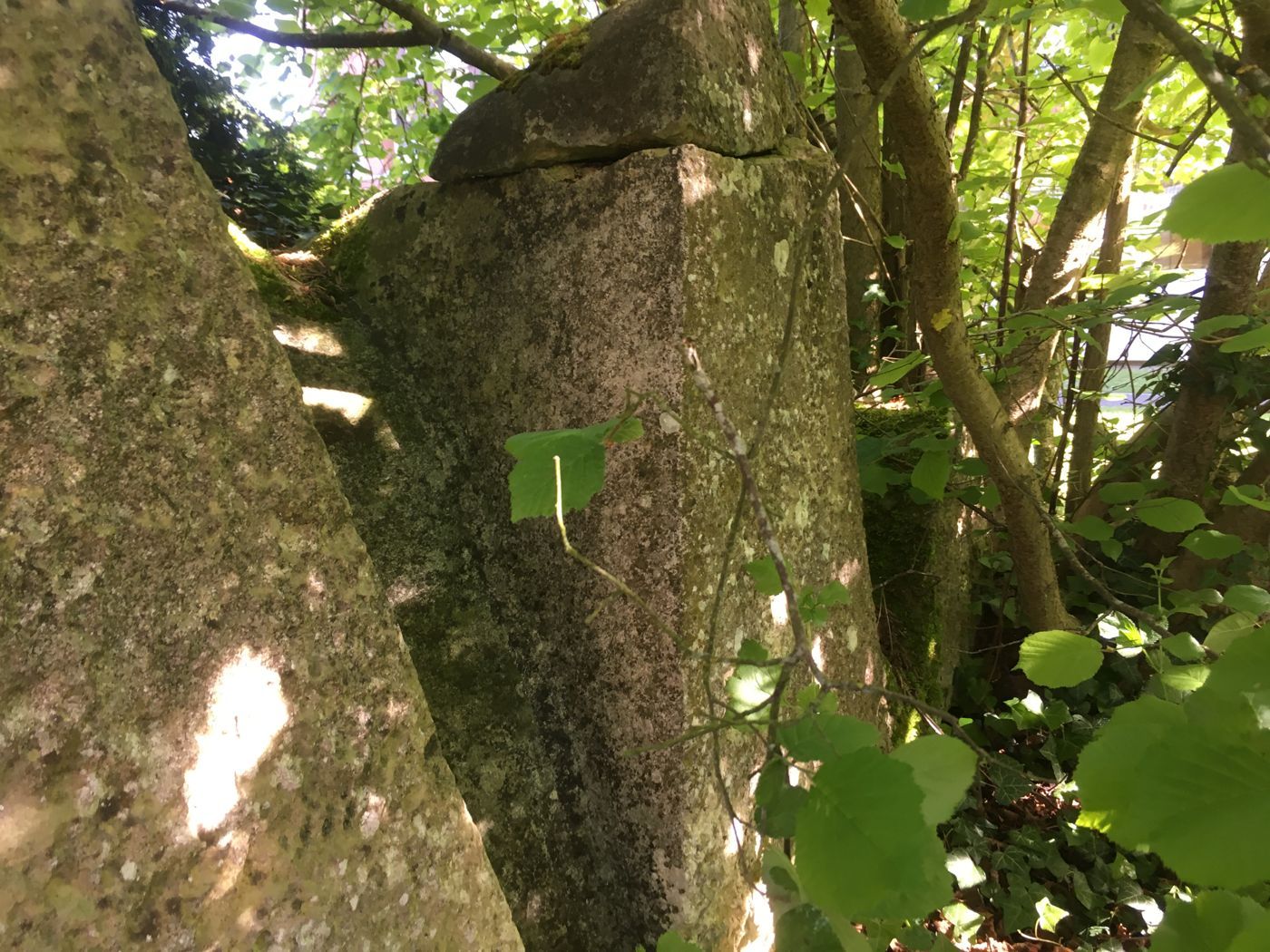 Les crêtes : la sculpture avant restauration.