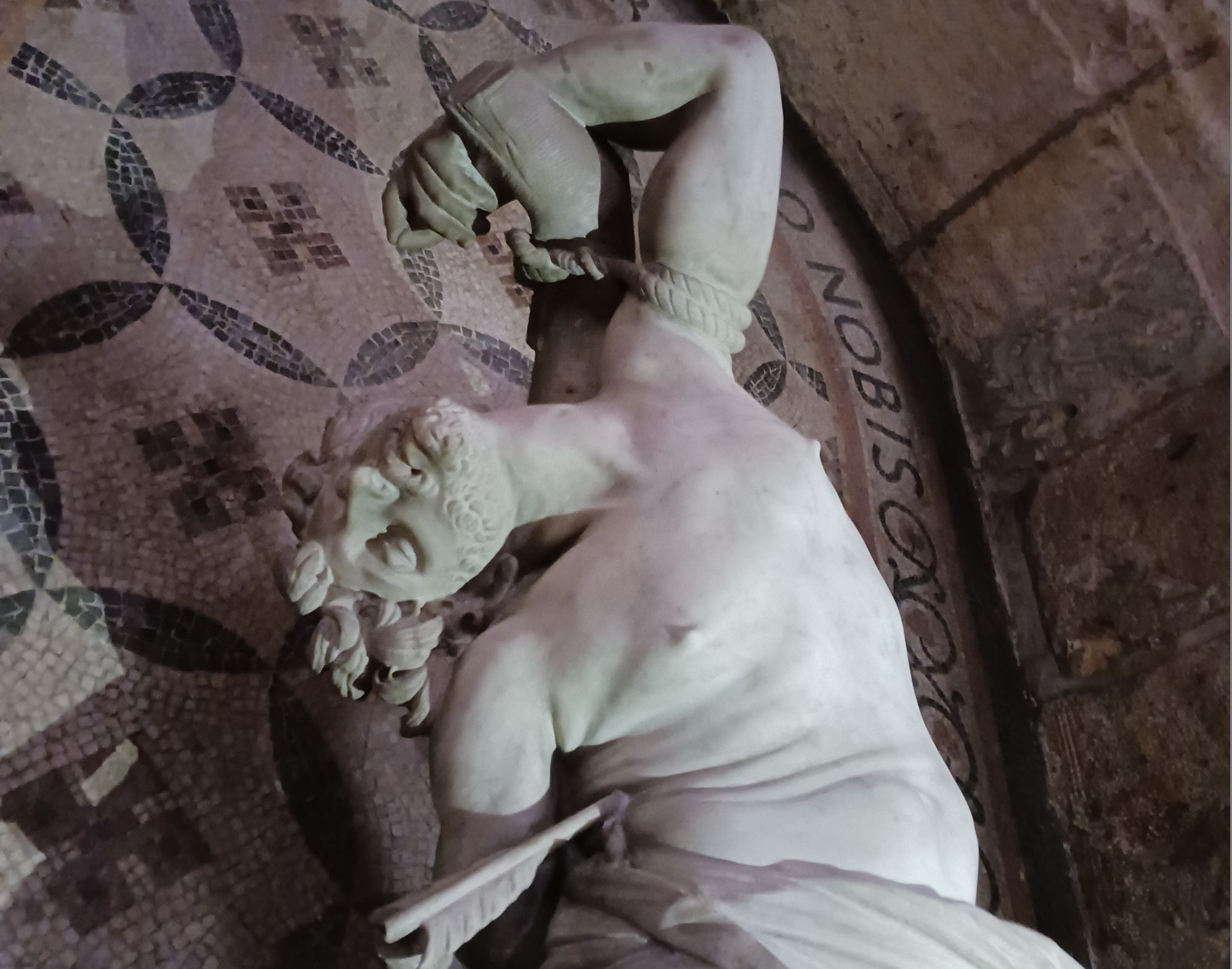 Découverte du mois de Janvier